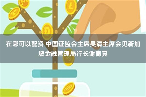 在哪可以配资 中国证监会主席吴清主席会见新加坡金融管理局行长谢啇真