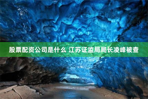 股票配资公司是什么 江苏证监局局长凌峰被查