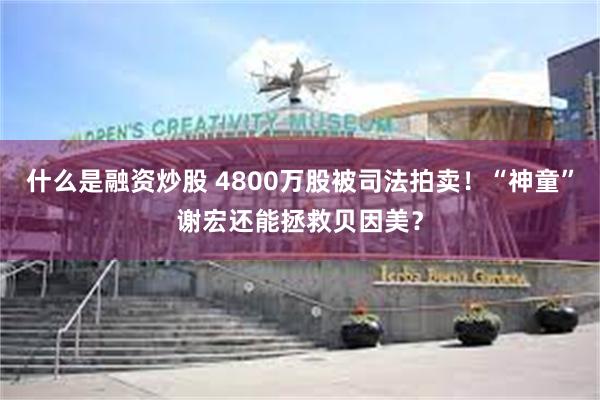 什么是融资炒股 4800万股被司法拍卖！“神童”谢宏还能拯救贝因美？