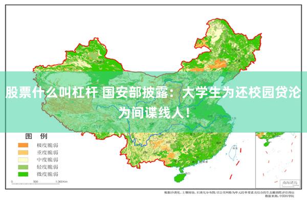 股票什么叫杠杆 国安部披露：大学生为还校园贷沦为间谍线人！