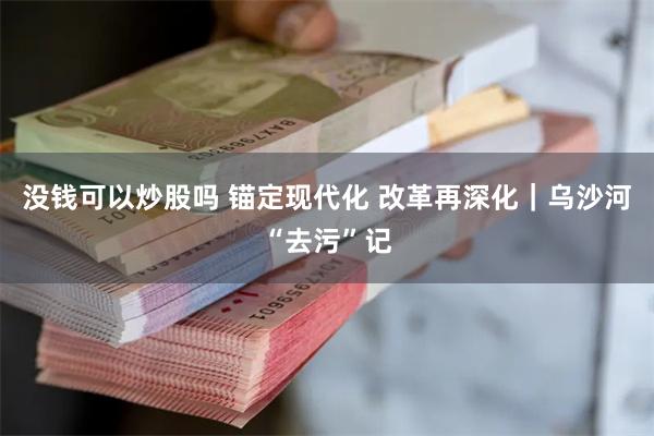 没钱可以炒股吗 锚定现代化 改革再深化｜乌沙河“去污”记