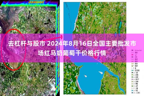 去杠杆与股市 2024年8月16日全国主要批发市场红马奶葡萄干价格行情