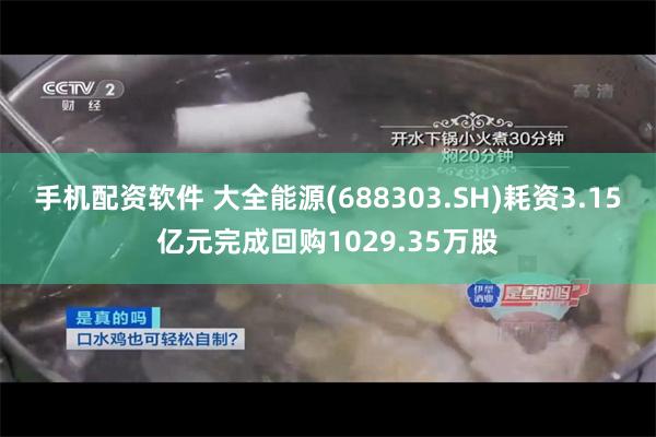 手机配资软件 大全能源(688303.SH)耗资3.15亿元完成回购1029.35万股