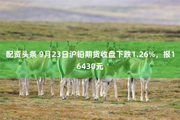 配资头条 9月23日沪铅期货收盘下跌1.26%，报16430元