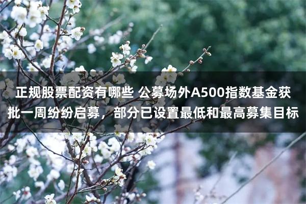 正规股票配资有哪些 公募场外A500指数基金获批一周纷纷启募，部分已设置最低和最高募集目标