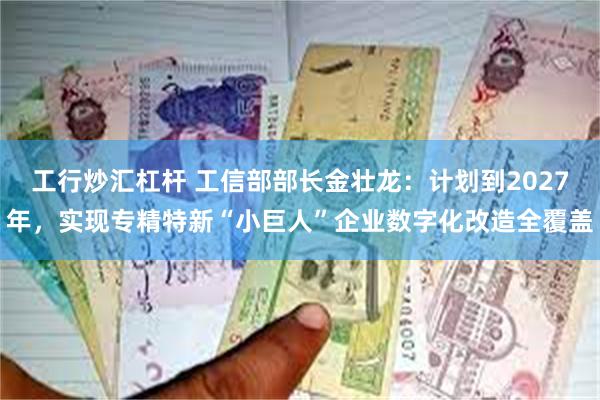 工行炒汇杠杆 工信部部长金壮龙：计划到2027年，实现专精特新“小巨人”企业数字化改造全覆盖