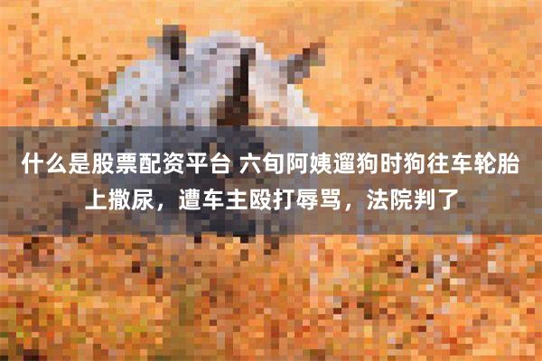 什么是股票配资平台 六旬阿姨遛狗时狗往车轮胎上撒尿，遭车主殴打辱骂，法院判了