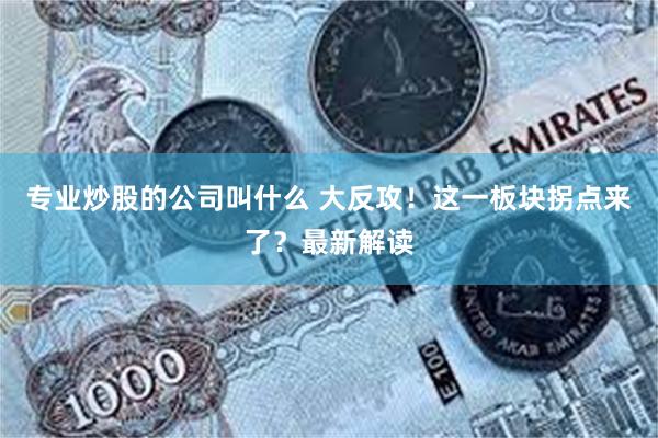 专业炒股的公司叫什么 大反攻！这一板块拐点来了？最新解读