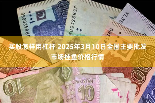 买股怎样用杠杆 2025年3月10日全国主要批发市场桂鱼价格行情